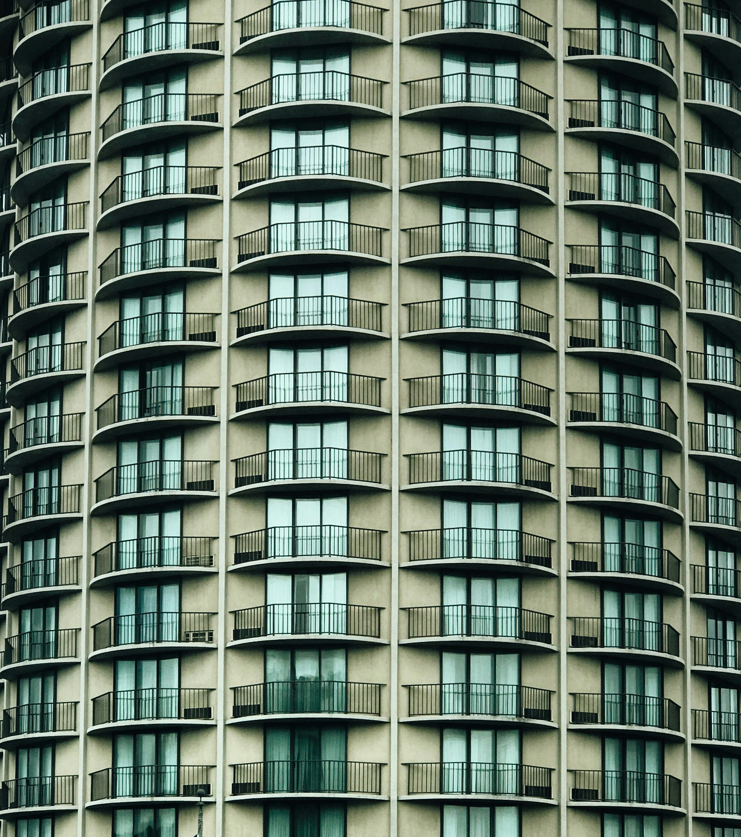 Photo by rithika_gopal