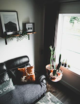 Cozy corner with a minimalist sofa, textured cushions, and a small indoor plant by a window.
