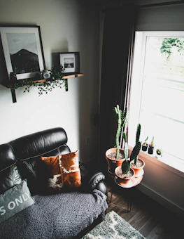 Cozy corner with a minimalist sofa, textured cushions, and a small indoor plant by a window.
