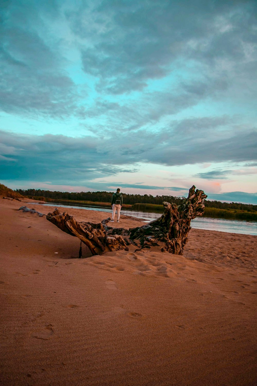 person on seashore