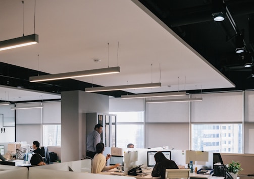 people inside office