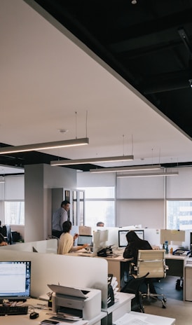 people inside office