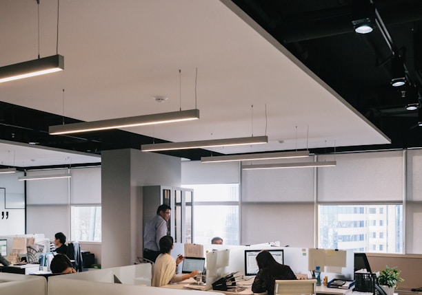 people inside office