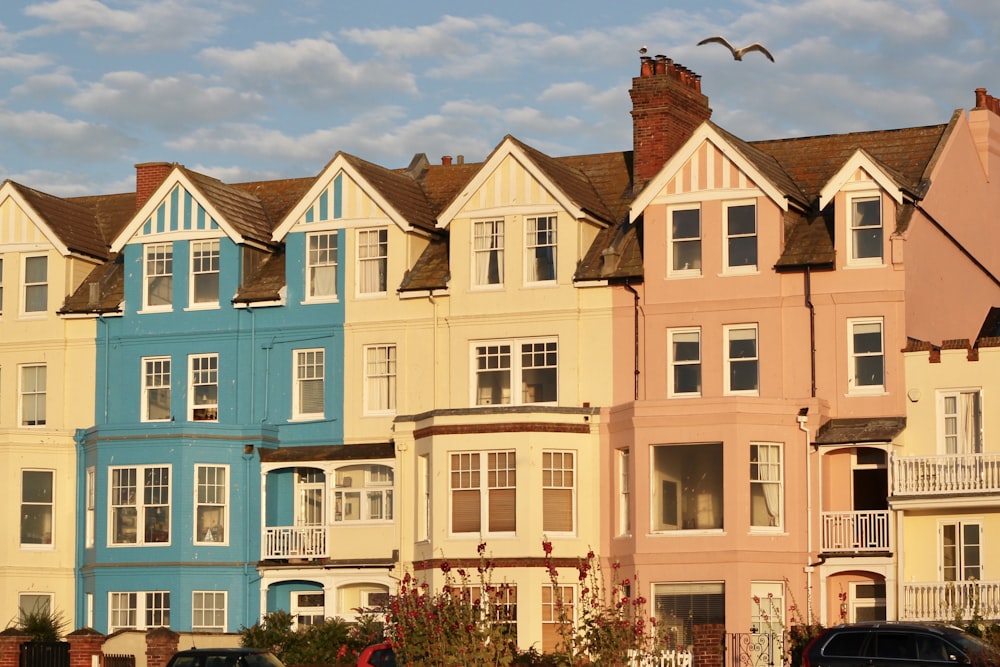 brown and blue concrete buildings