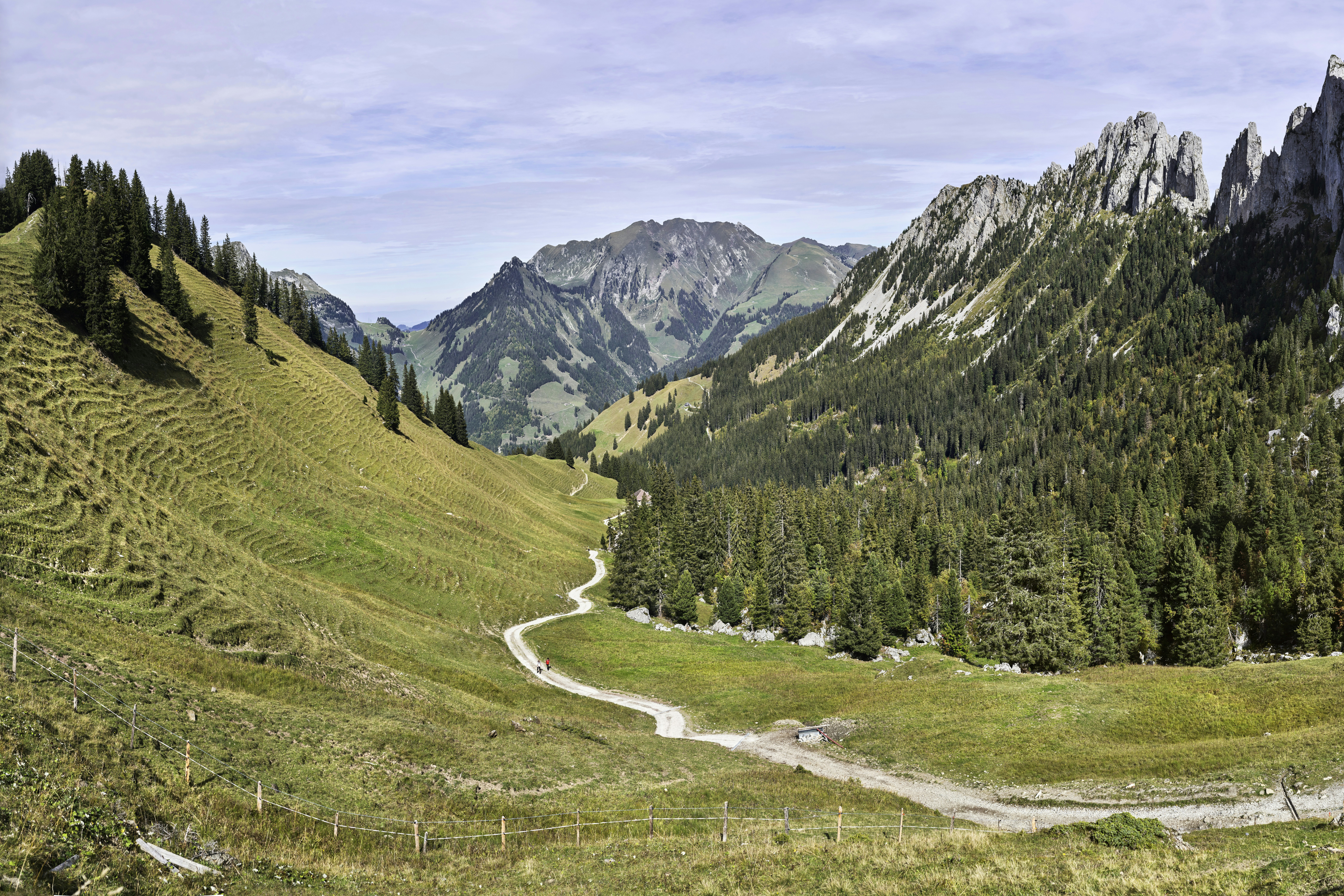 Photo by xavier_von_erlach