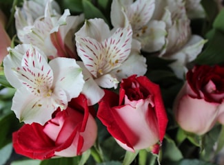 A bouquet of flowers with vibrant red roses and delicate white lilies with red accents surrounded by green leaves.