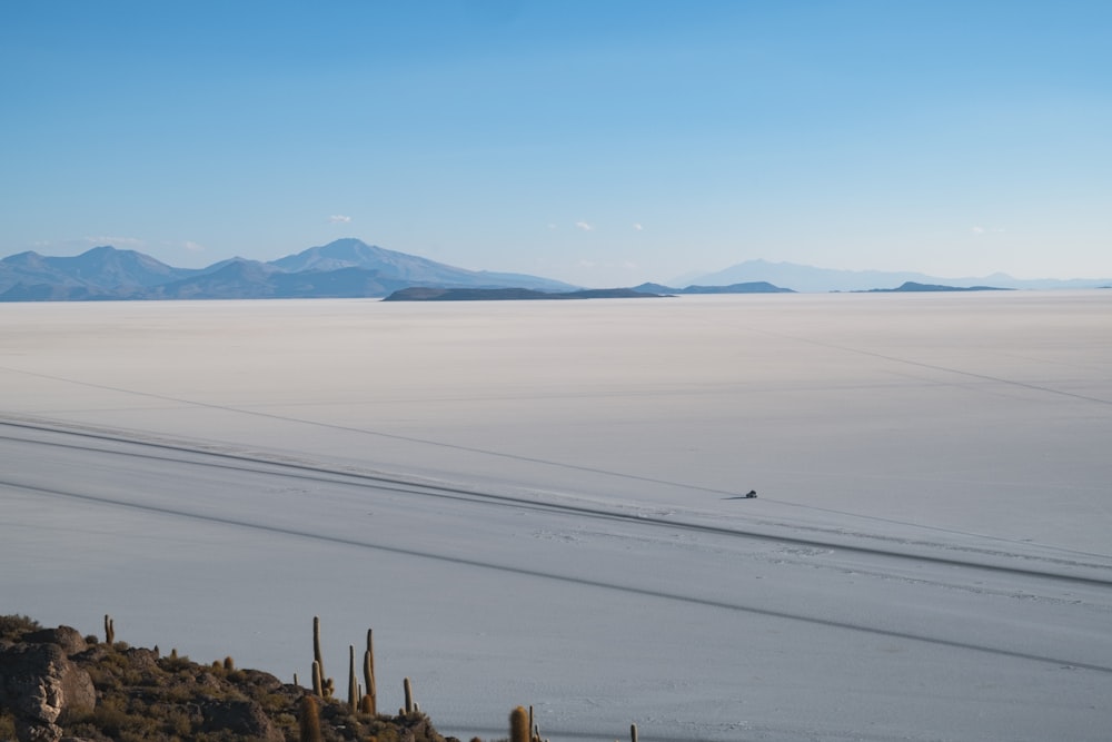 calm ocean during daytime