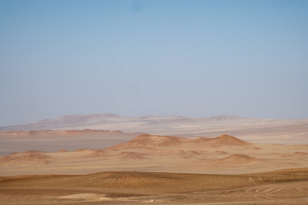 brown field during daytime