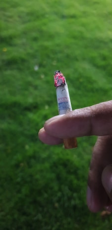 A close-up of a hand breaking a cigarette in a peaceful outdoor setting.