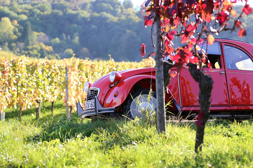 geparktes rotes Auto