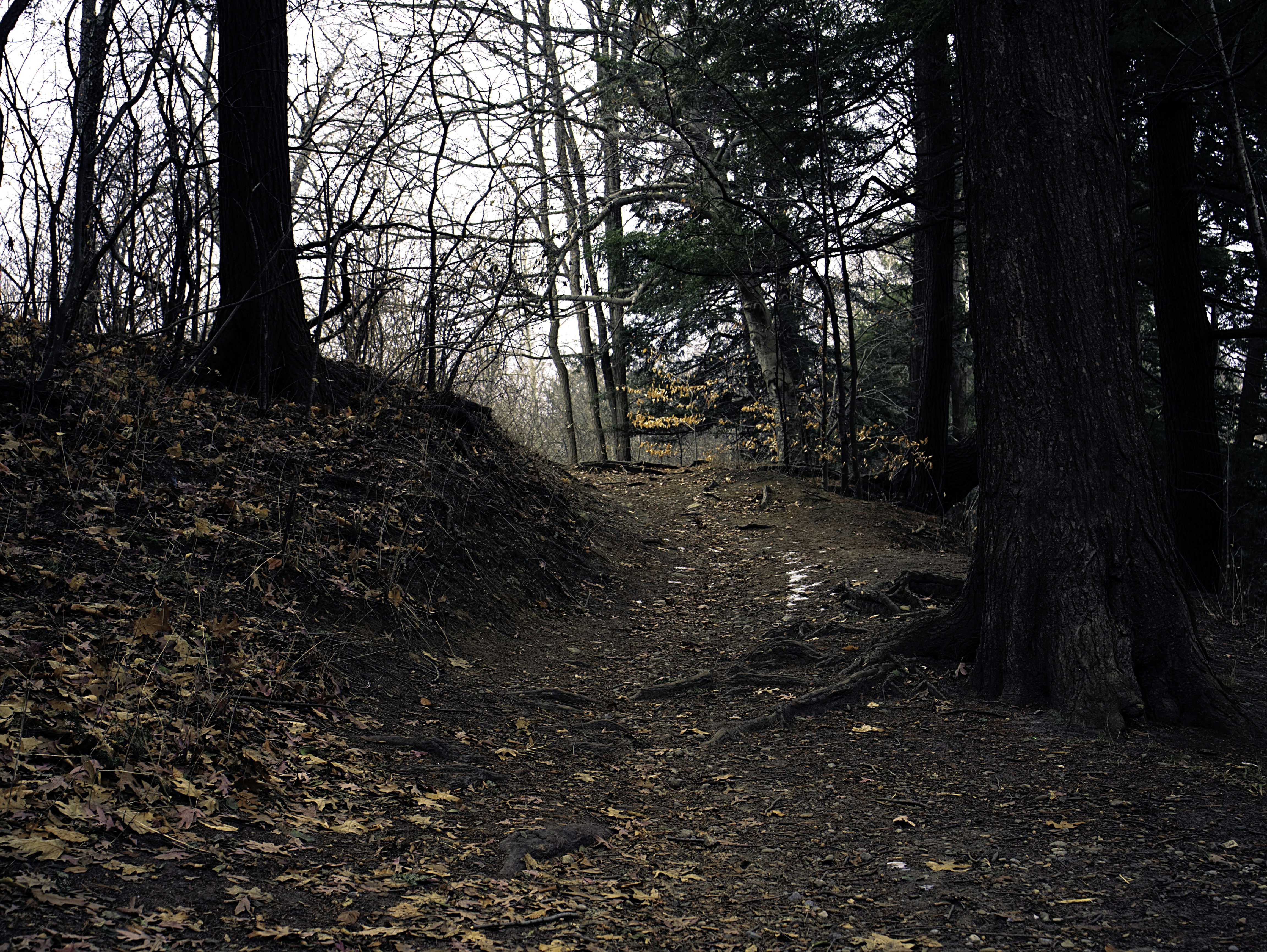 Photo by andregaulin