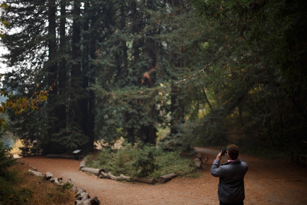 man takes photo of trees