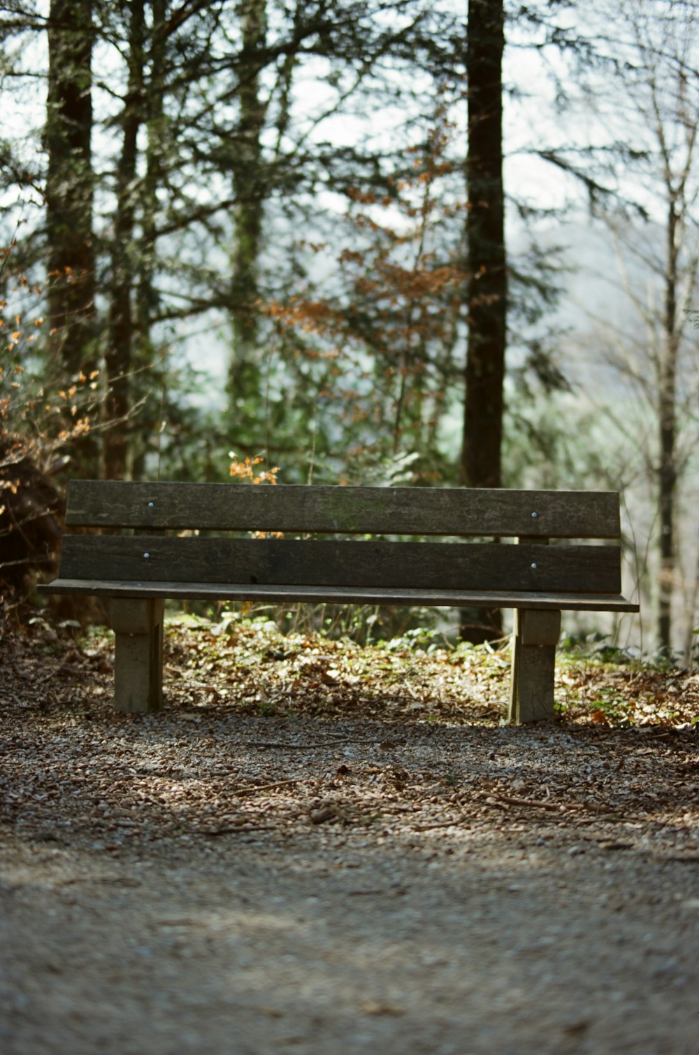 brown bench