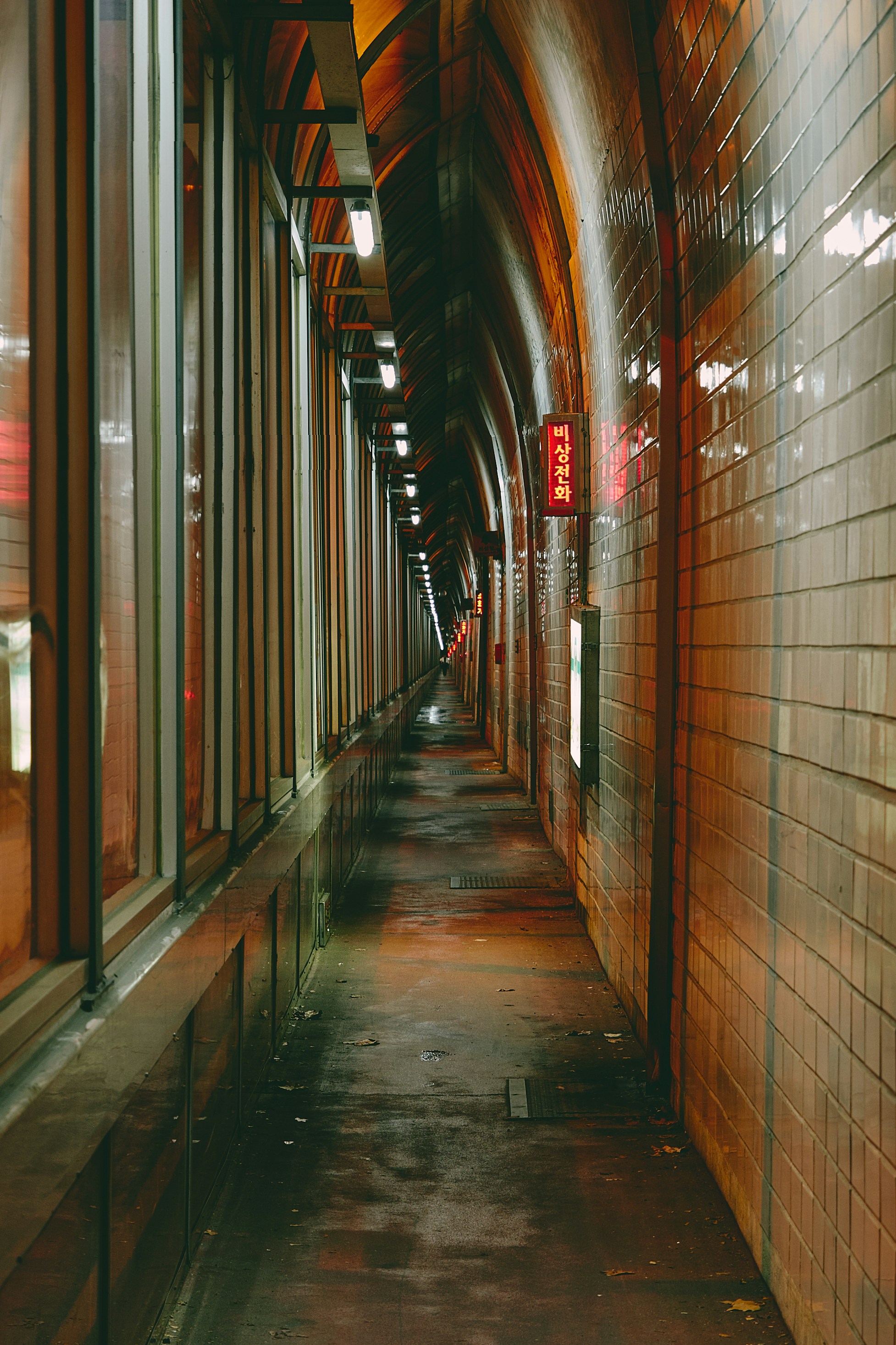 gray concrete pathway in between buildings during night time