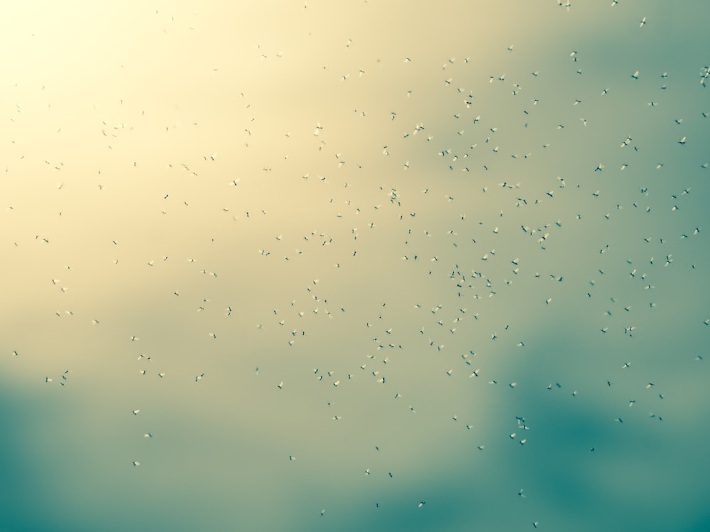 Wassertropfen auf ein Fenster mit blauem Himmel im Hintergrund