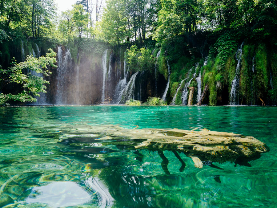 Turquoise lakes and wooden walkways at Plitvice Lakes National Park, Croatia