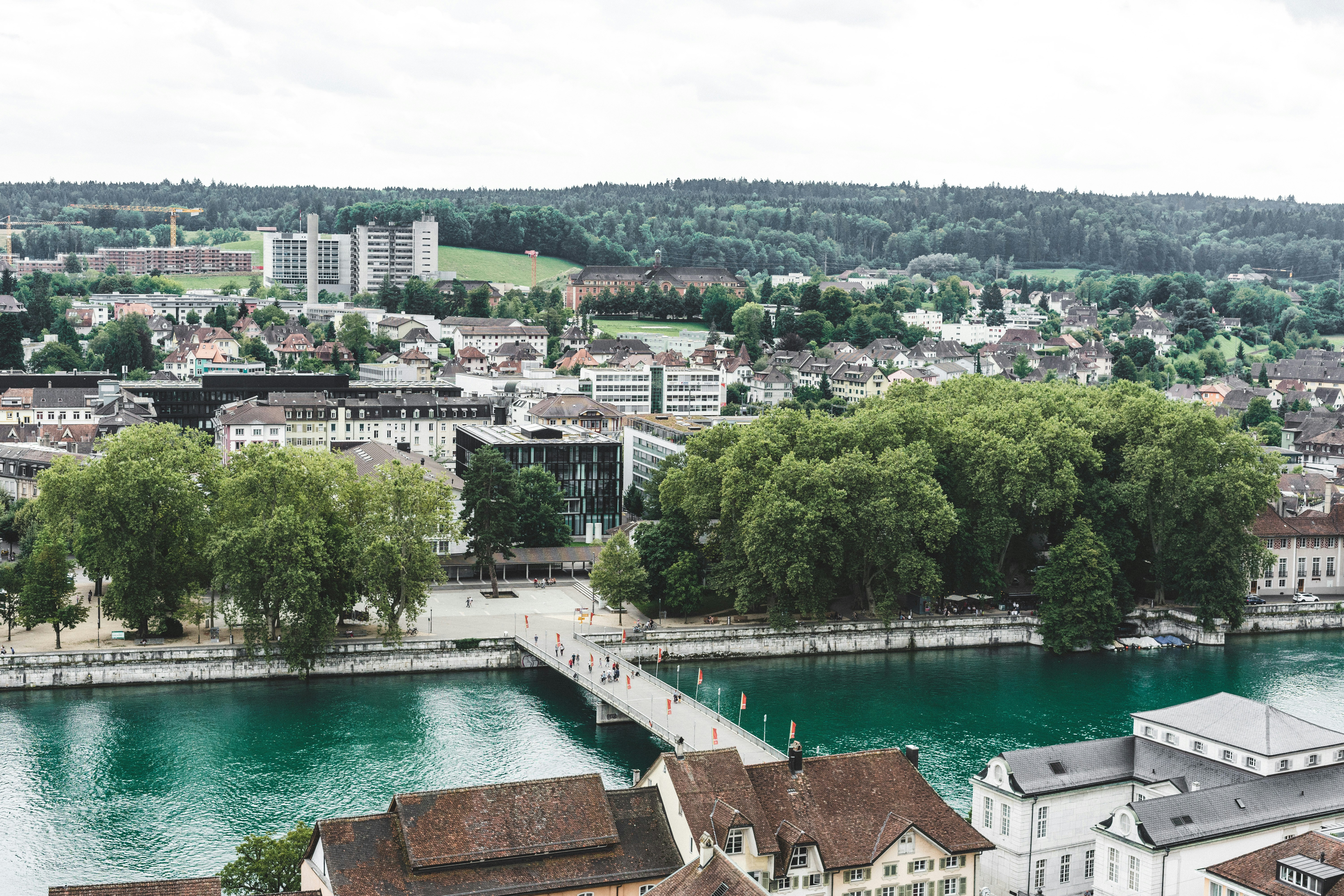 Photo by virussinside