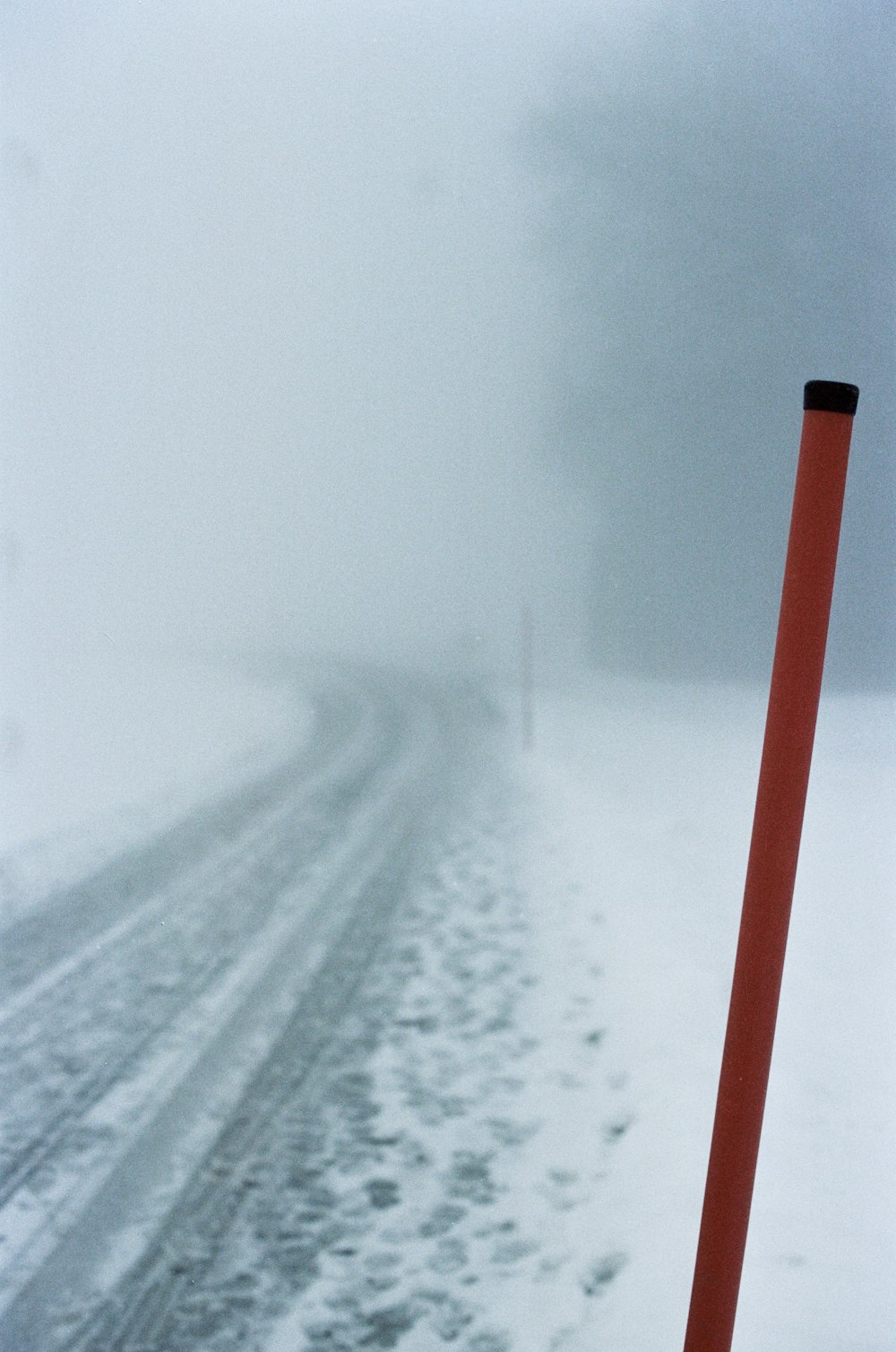 land covered in snow