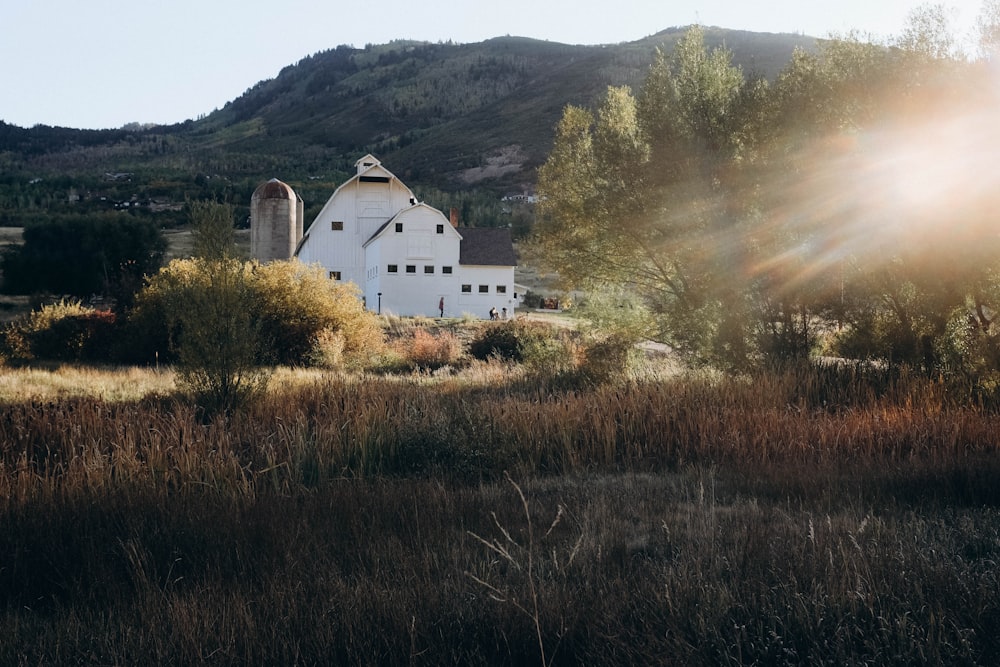 Casa dipinta di bianco vicino agli alberi