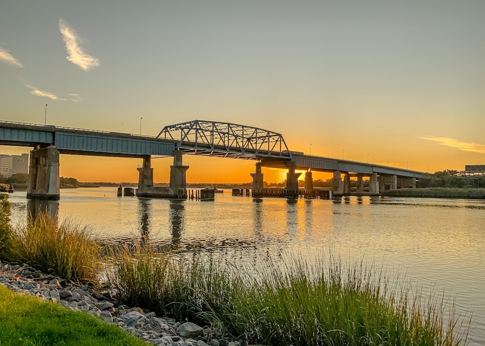 bridge during golden hour