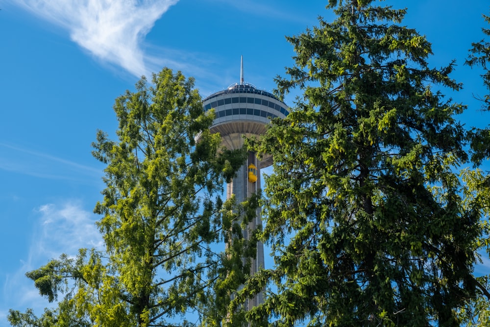 low-angle photography of gray tower building under blue sky