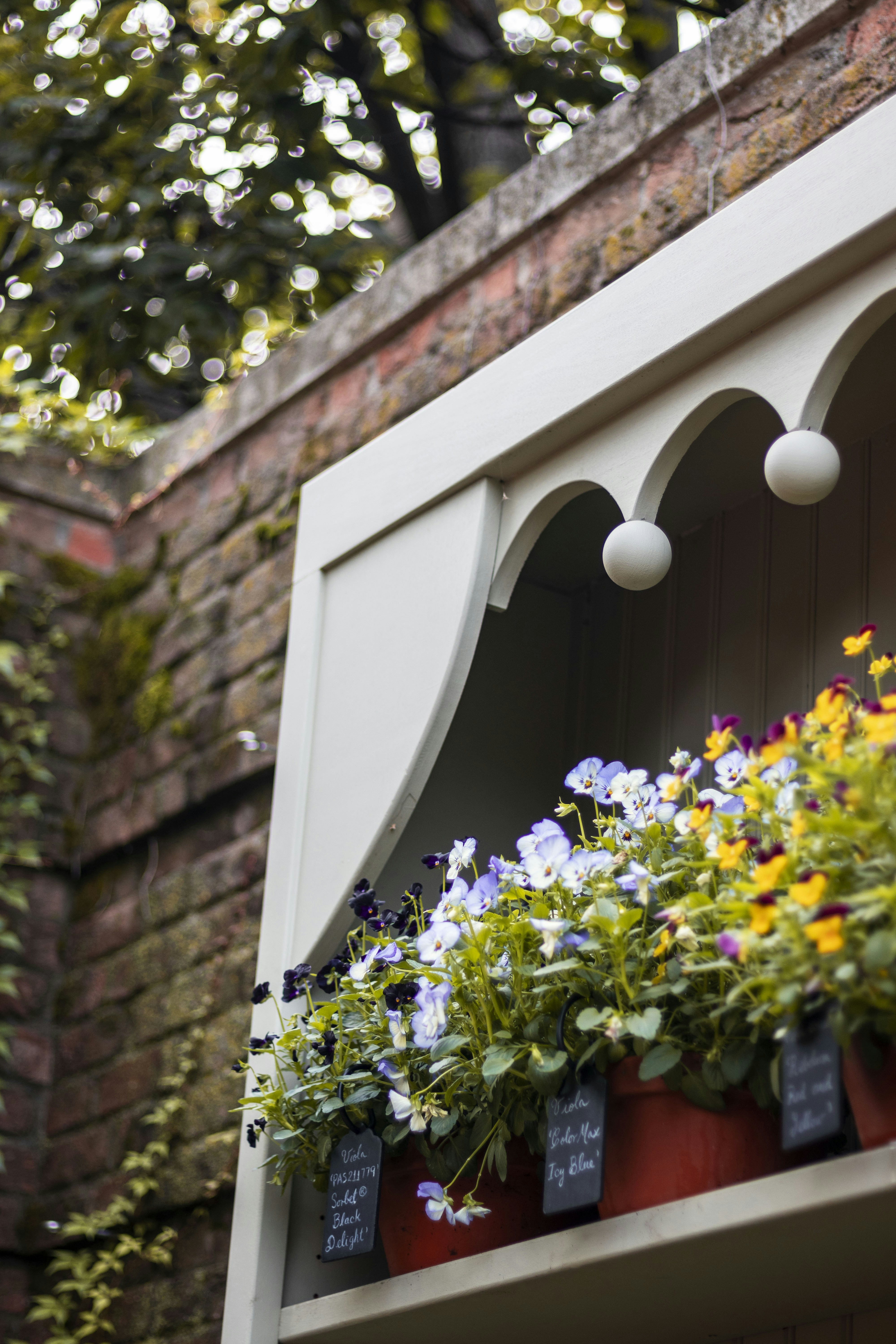 Photo by thevibrantmachine