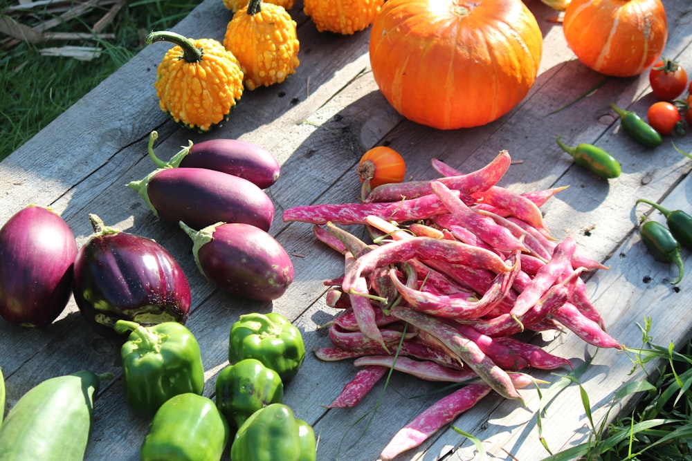 orange pumpkins with eggplants and bell peppers