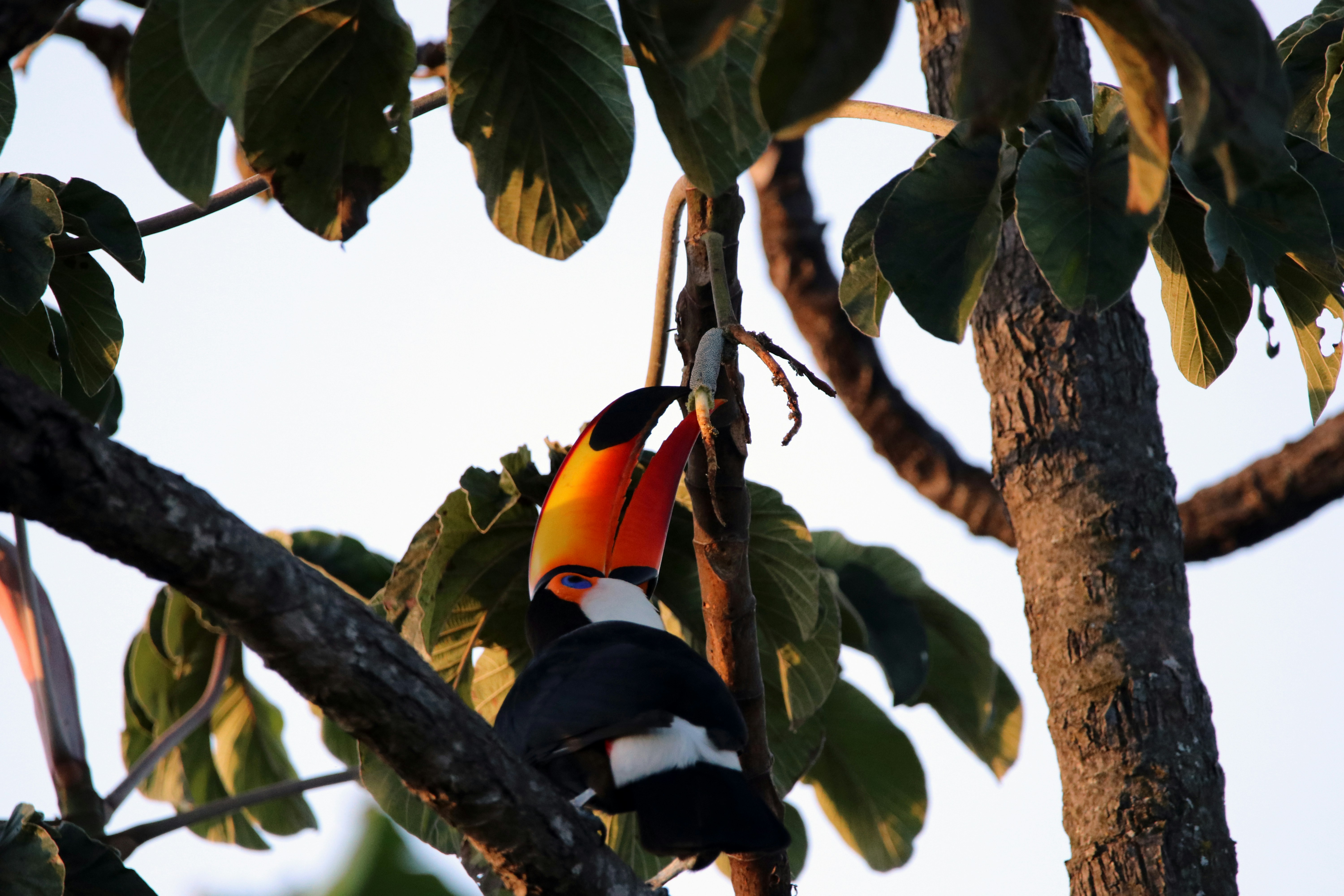 Photo by marcusdallcol