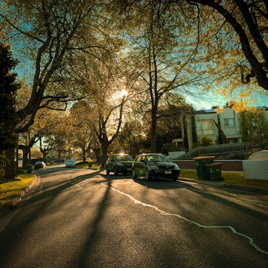 A peaceful tree-lined street in Stone Creek with Spanish Revival-style homes bathed in warm afternoon light.