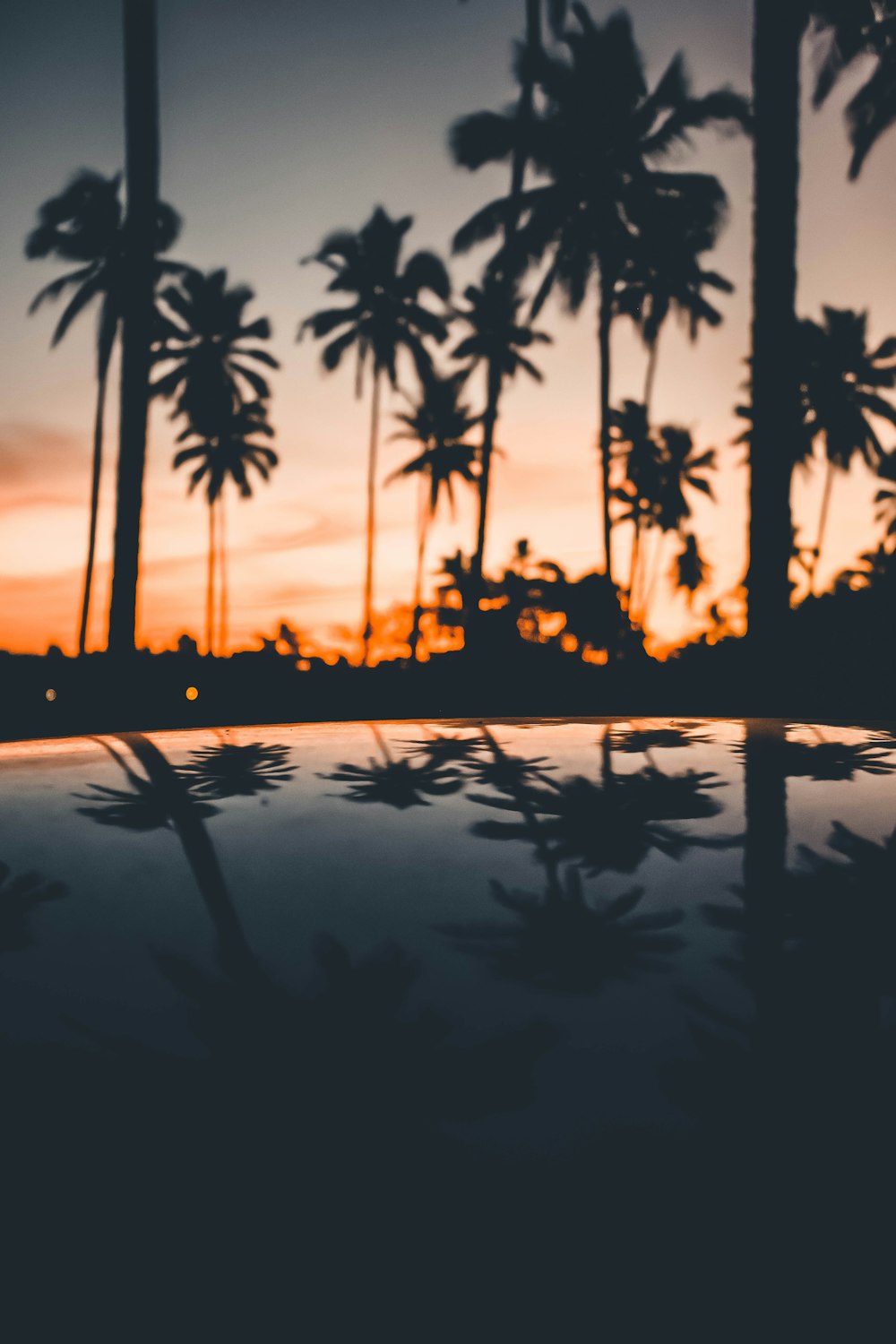 a reflection of palm trees in a car's windshield