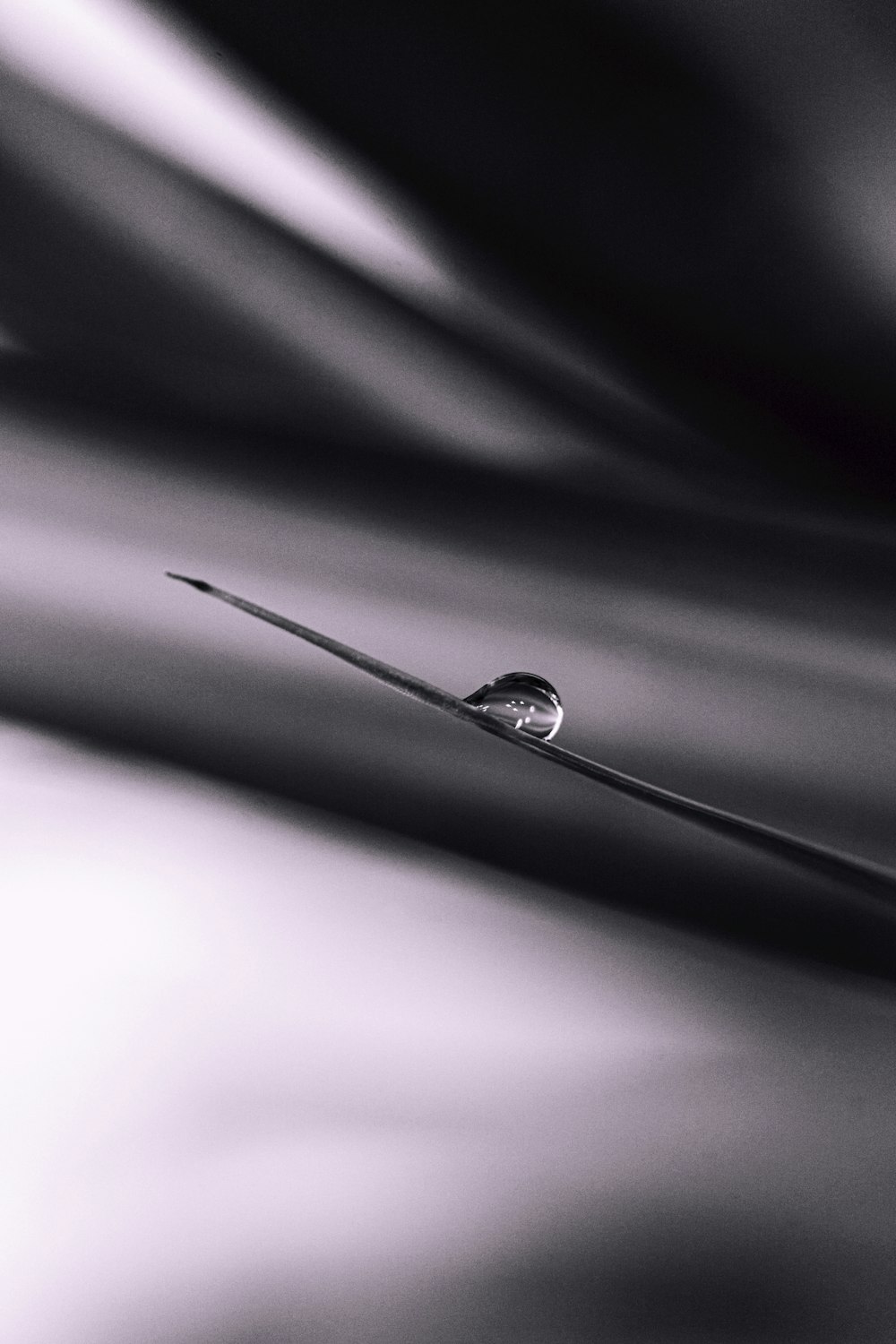 water droplet on a leaf