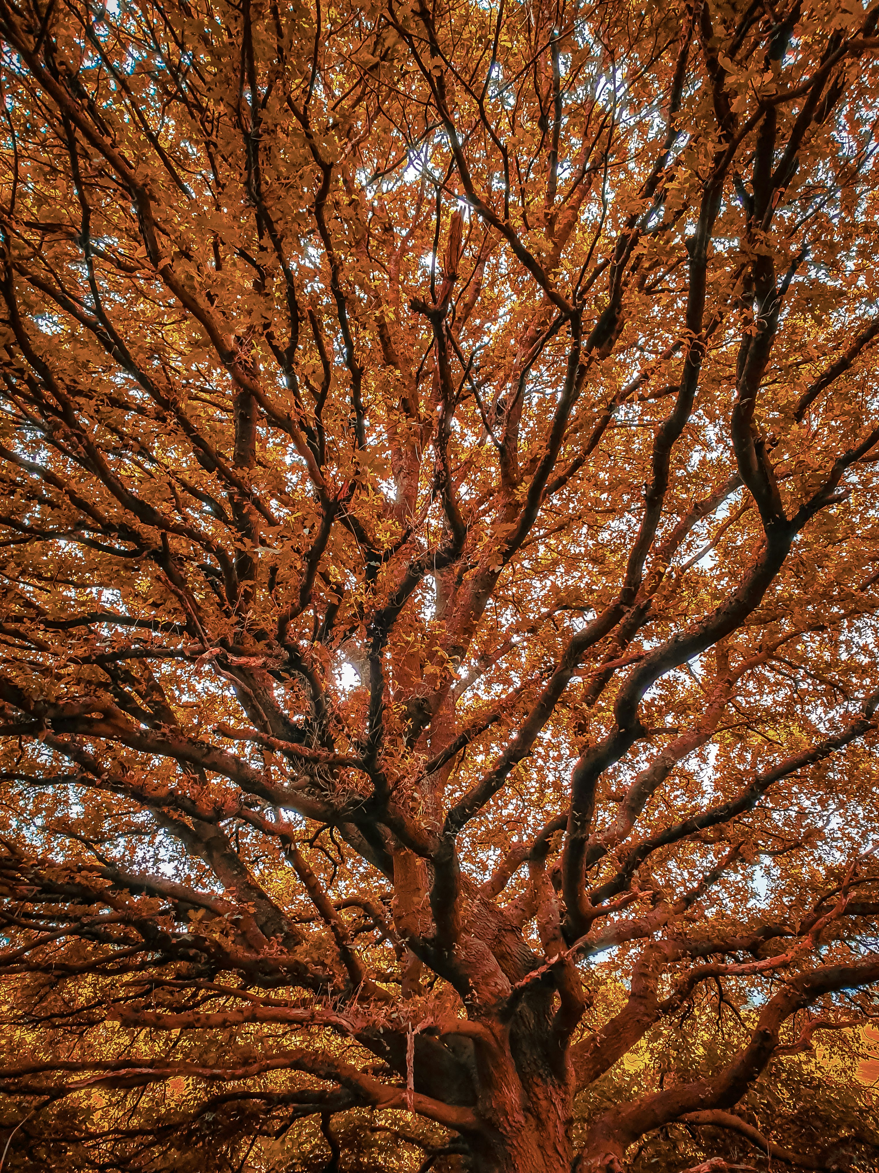 Photo by jasonrcharters