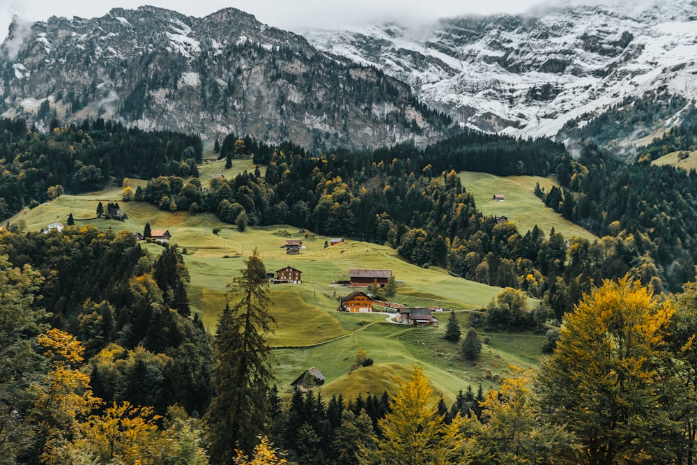 aerial photography of houses on green hill