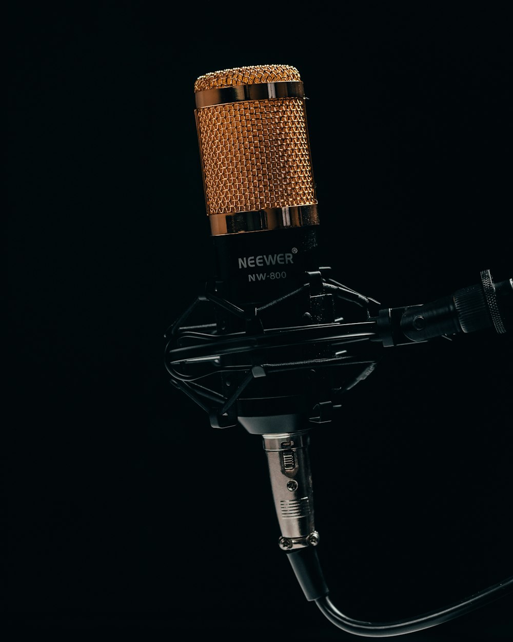 marron and black studio microphone