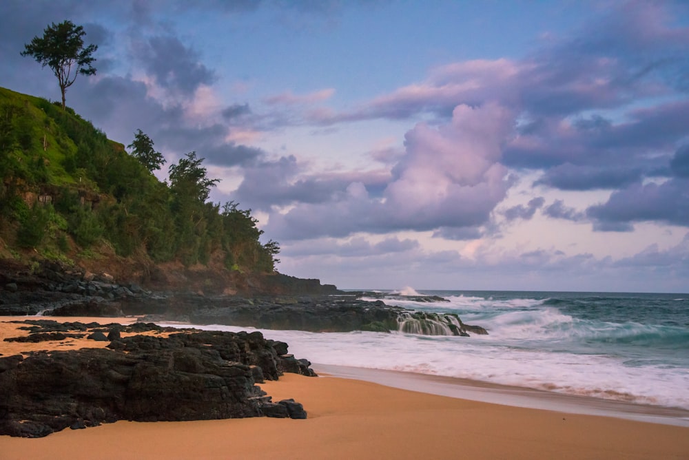 wavy seashore during daytime