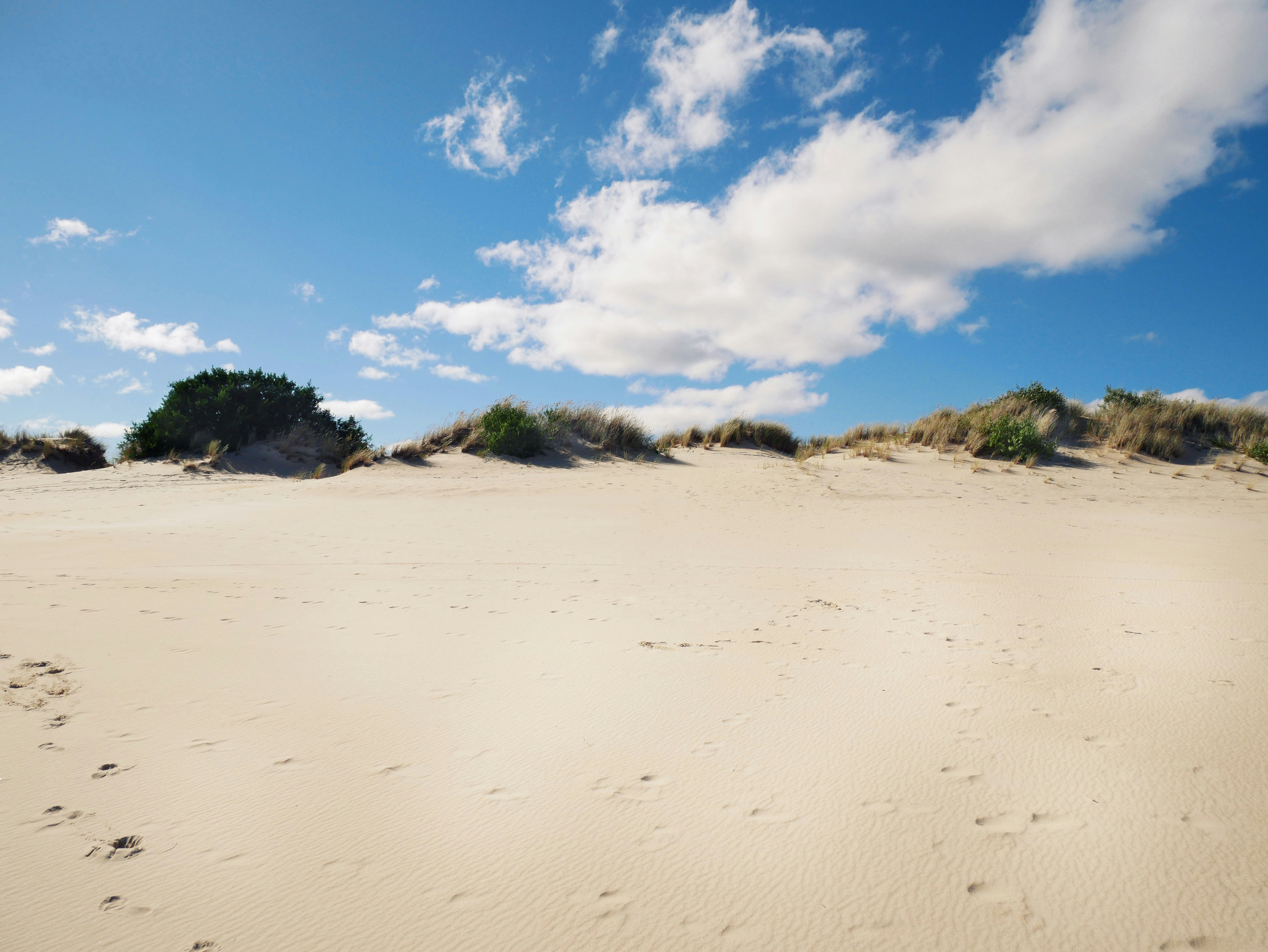 Photo by divineproductionsfilms