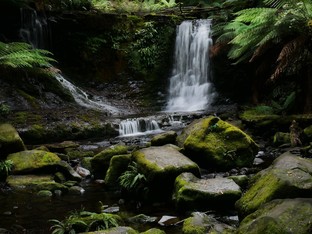 low-angle photography of waterfalls