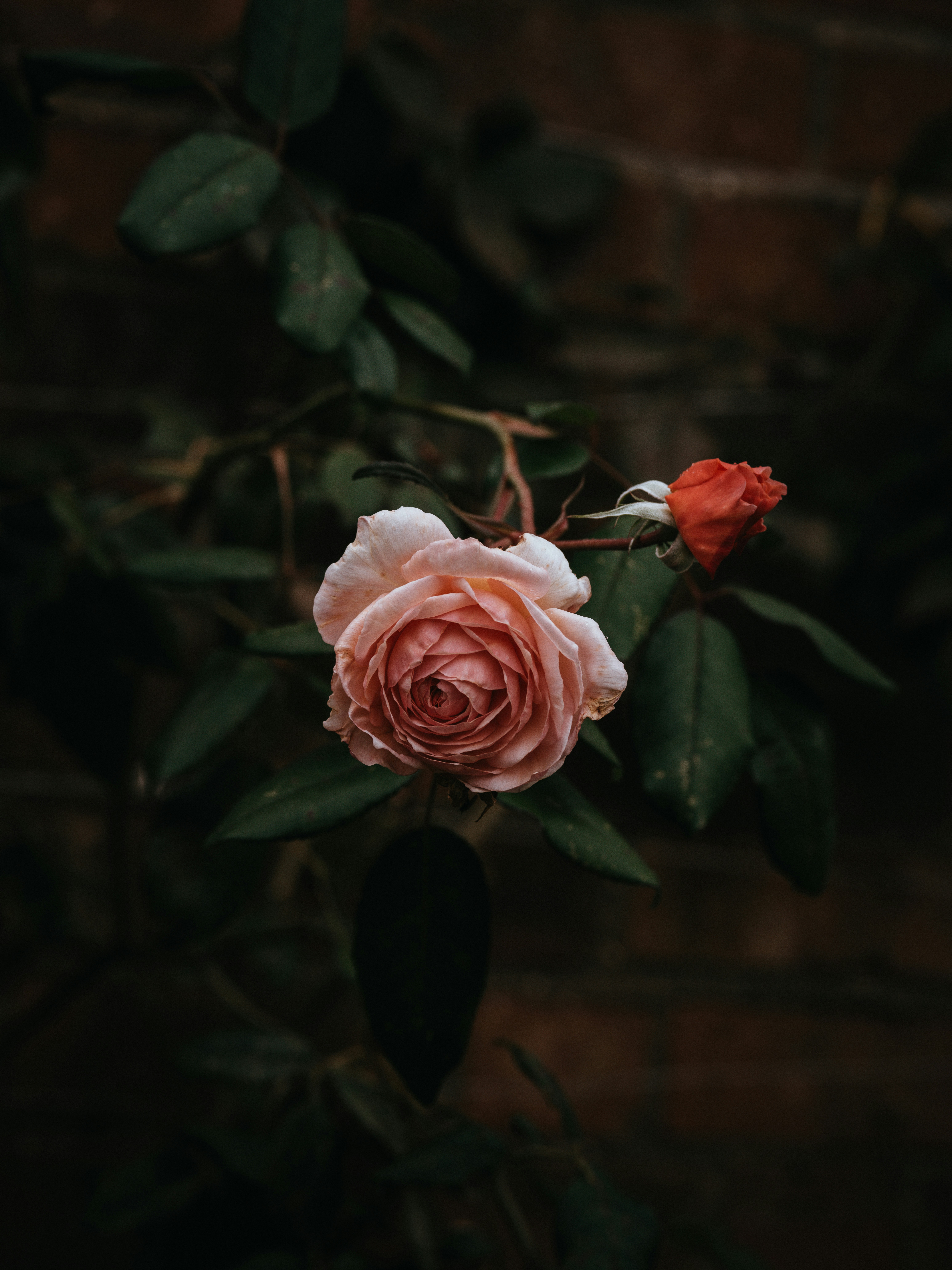 Photo by anniespratt