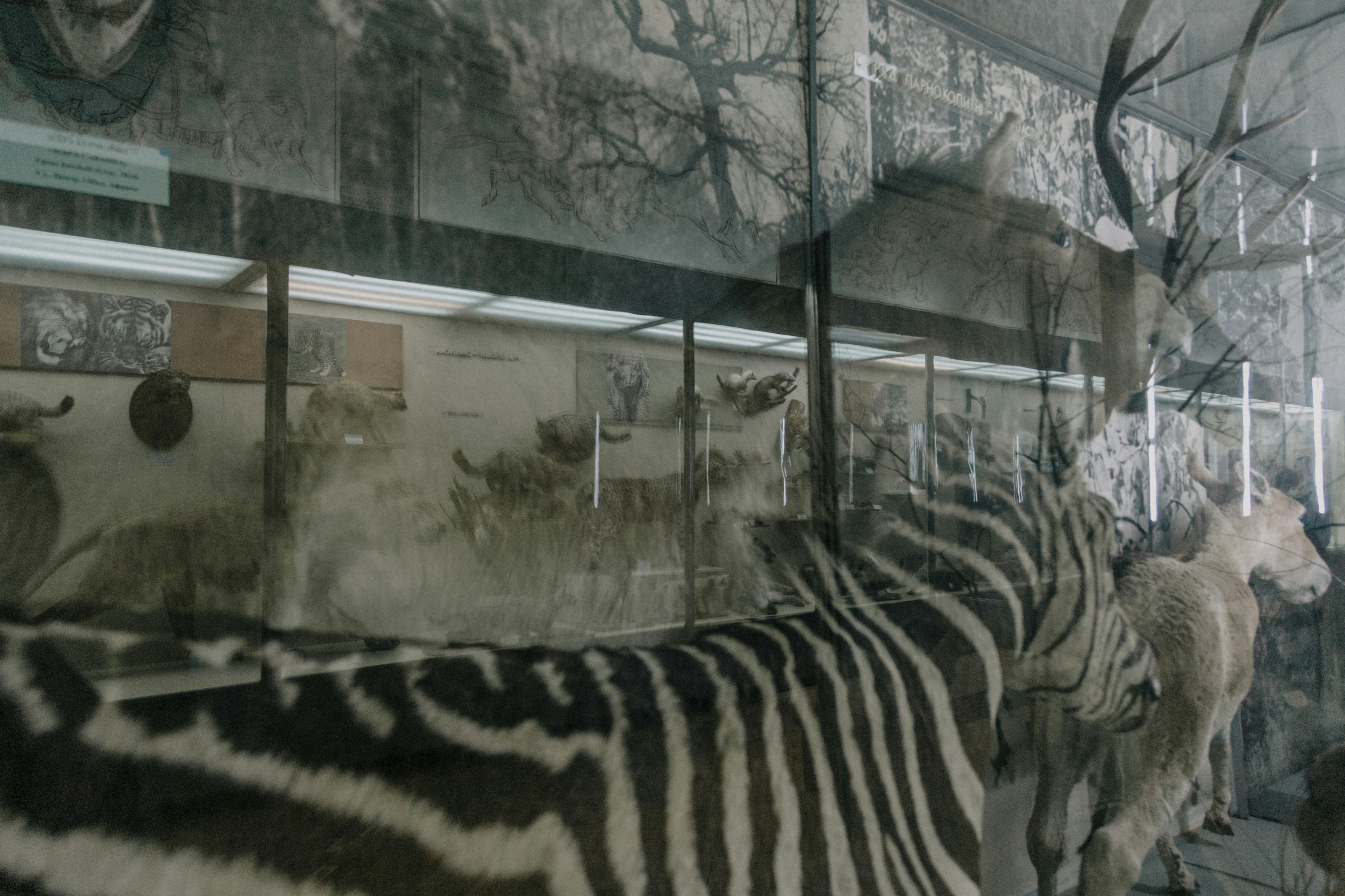 Photo by marjan_blan