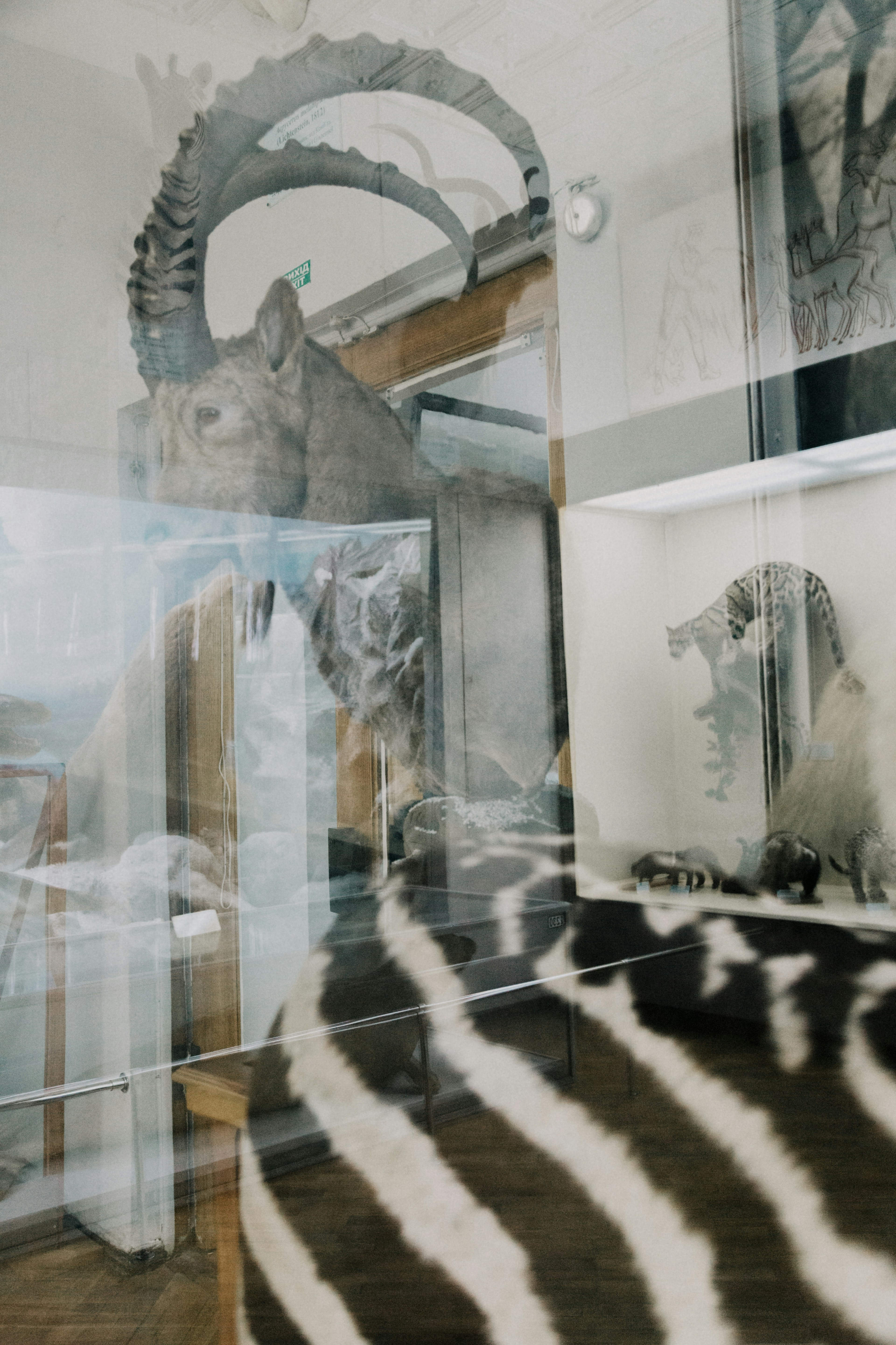 Photo by marjan_blan