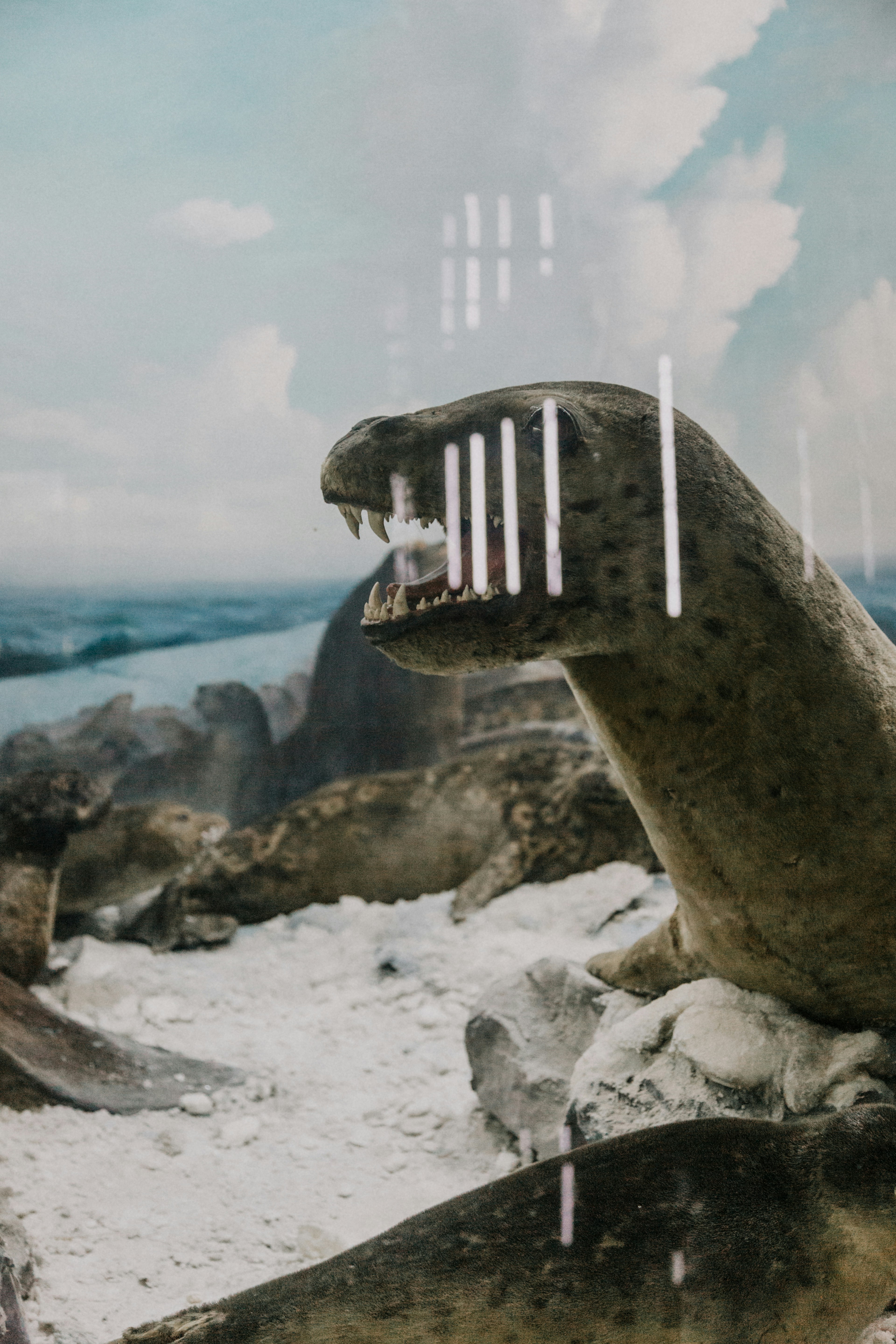 Reviving the Past: Scientific Efforts to Bring Extinct Species Back to Life