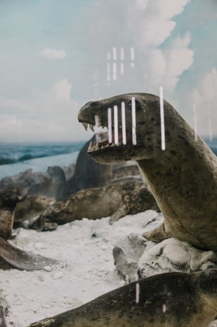 A prehistoric creature with sharp teeth and a long neck is in a diorama setting. The background features a rocky terrain with patches of white, resembling a landscape covered in snow or sand. The creature appears to be part of a museum exhibit, as suggested by the glass-like reflections visible on the surface.