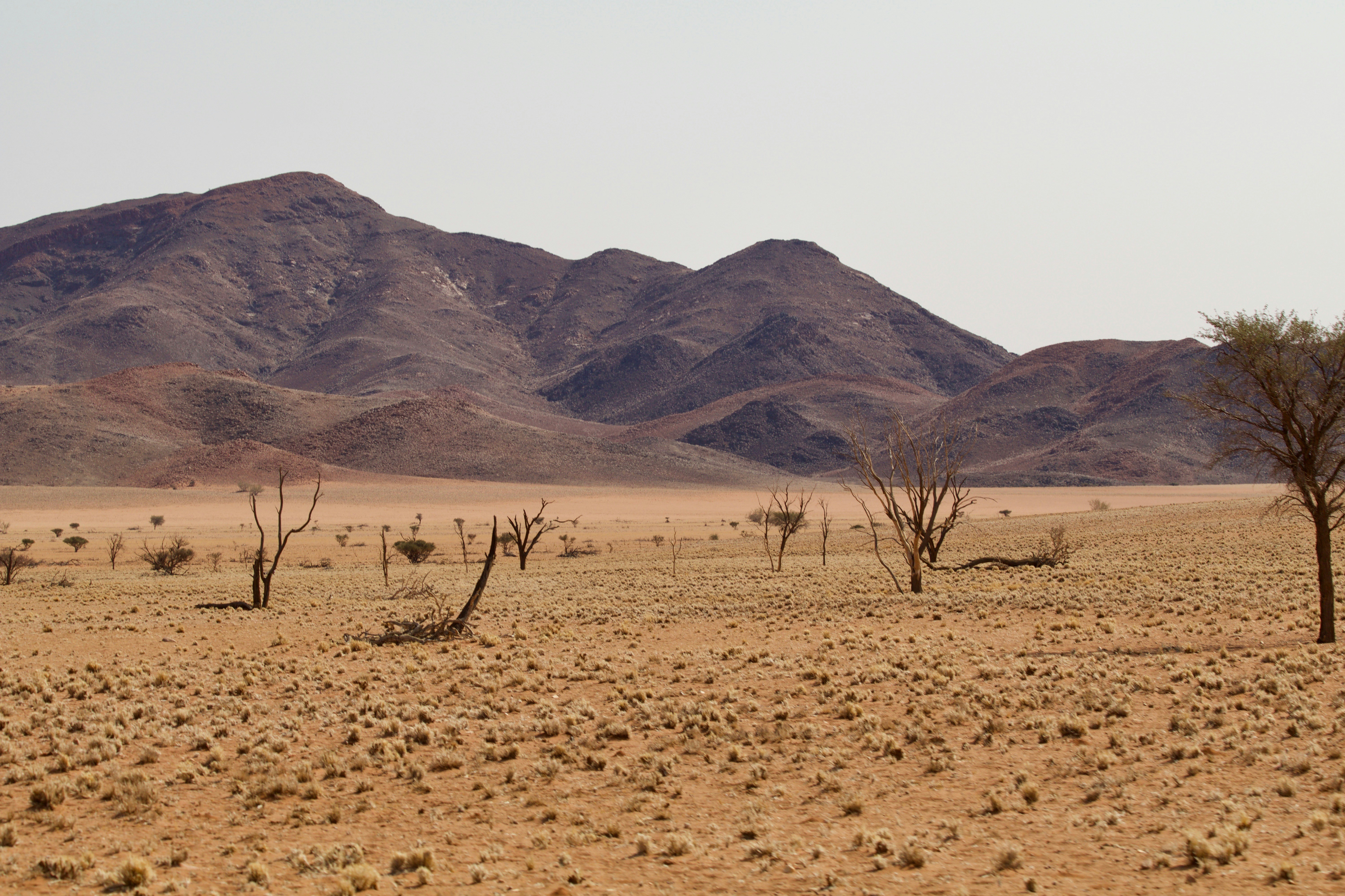 Photo by arnaudgillard