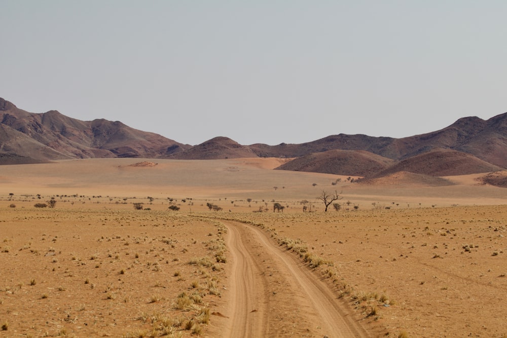 brown desert photo – Free Soil Image on Unsplash