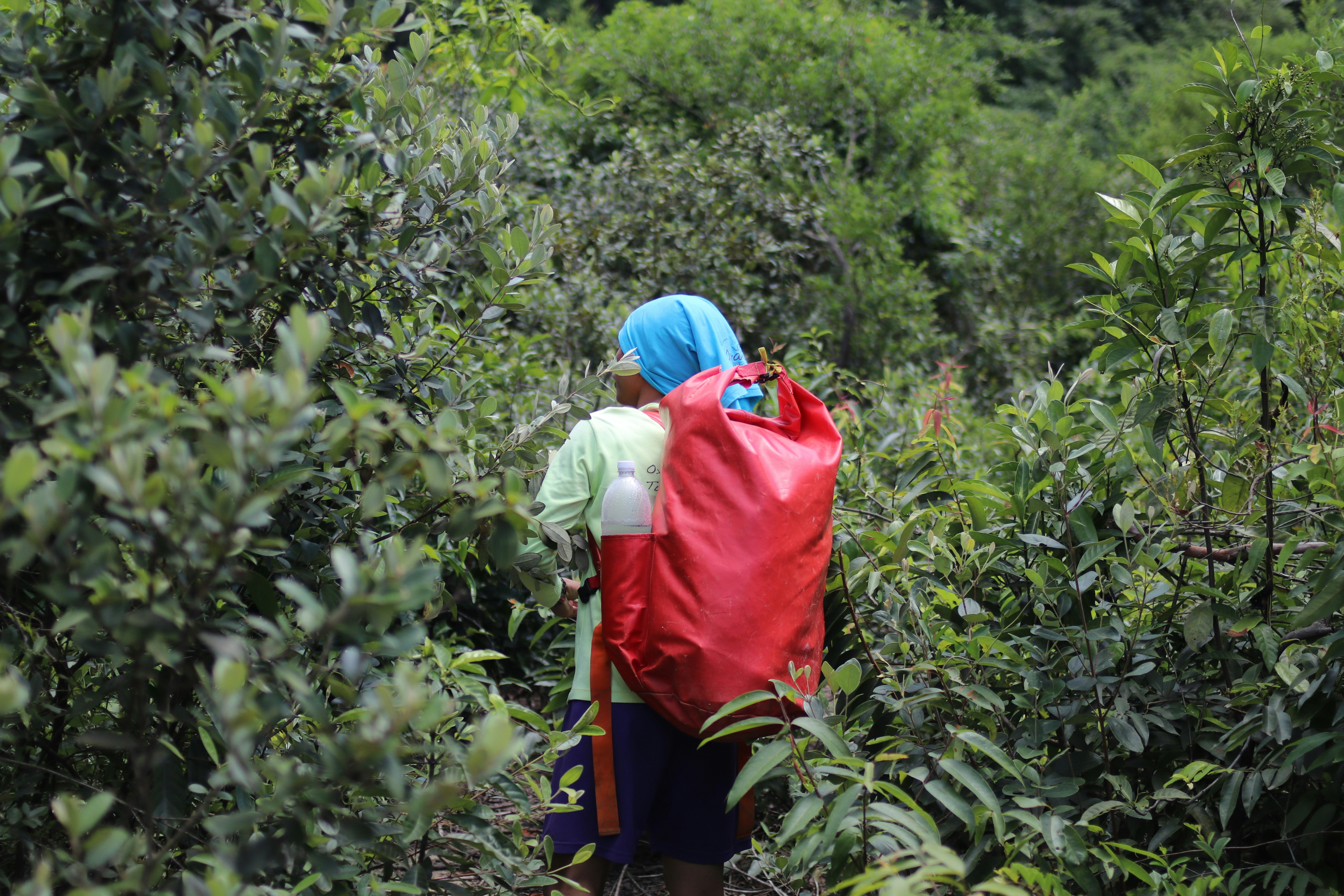 Photo by arnaudgillard