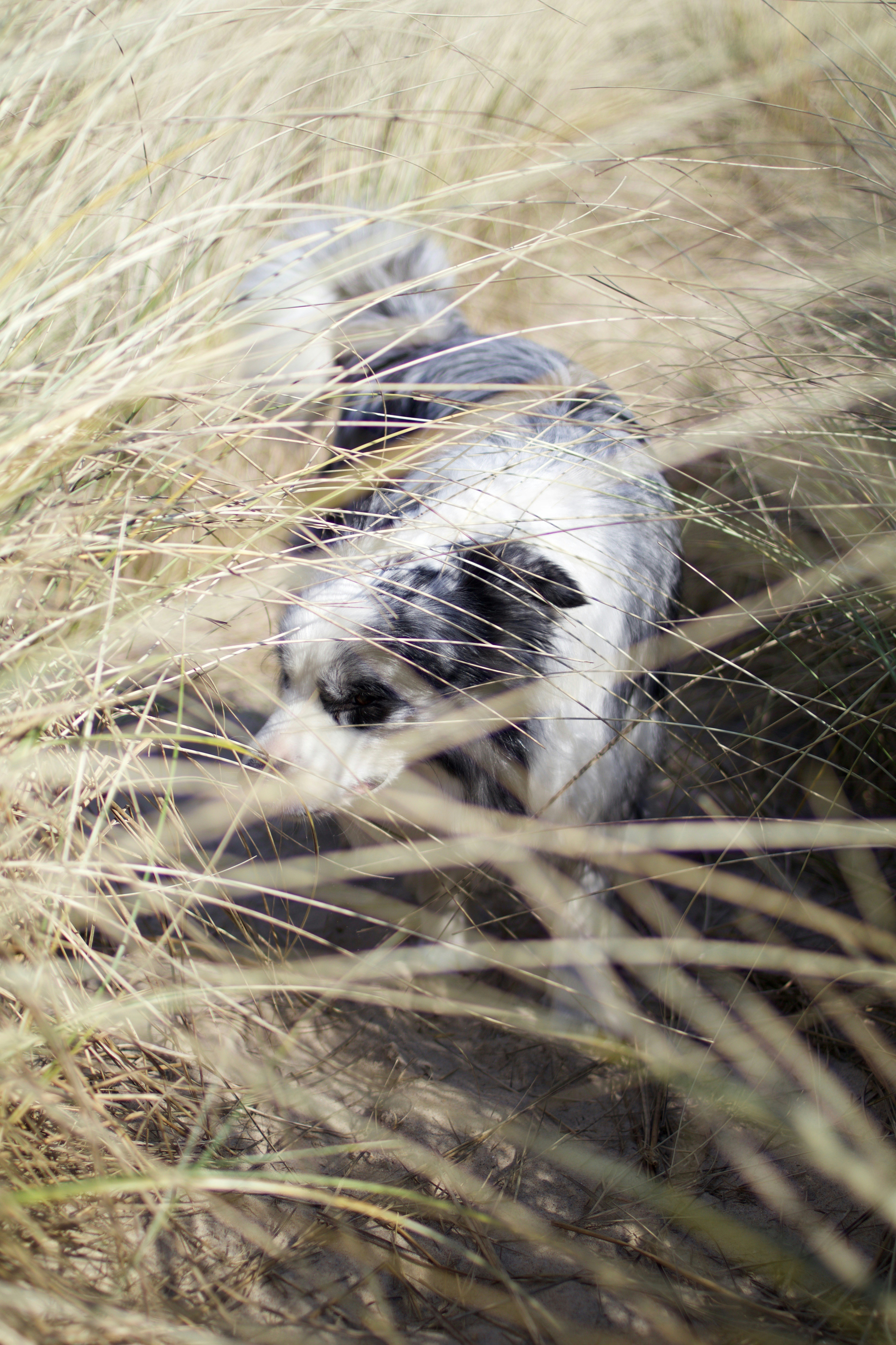 Photo by arnaudgillard