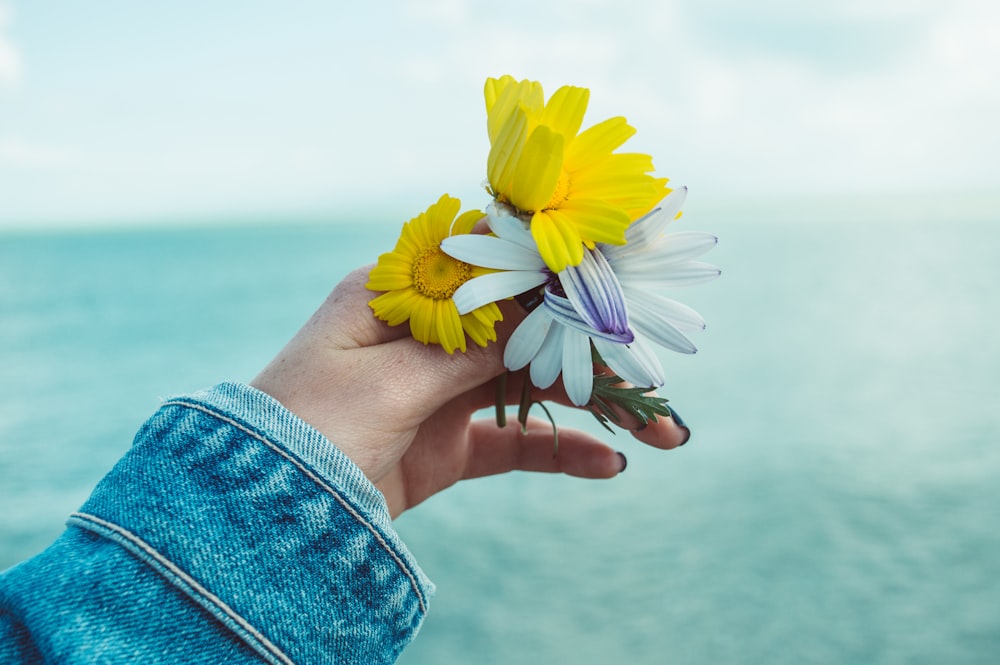person holding yellow and white flowers
