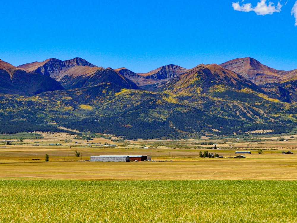 white tent on plain field