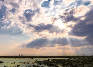 seashore during day