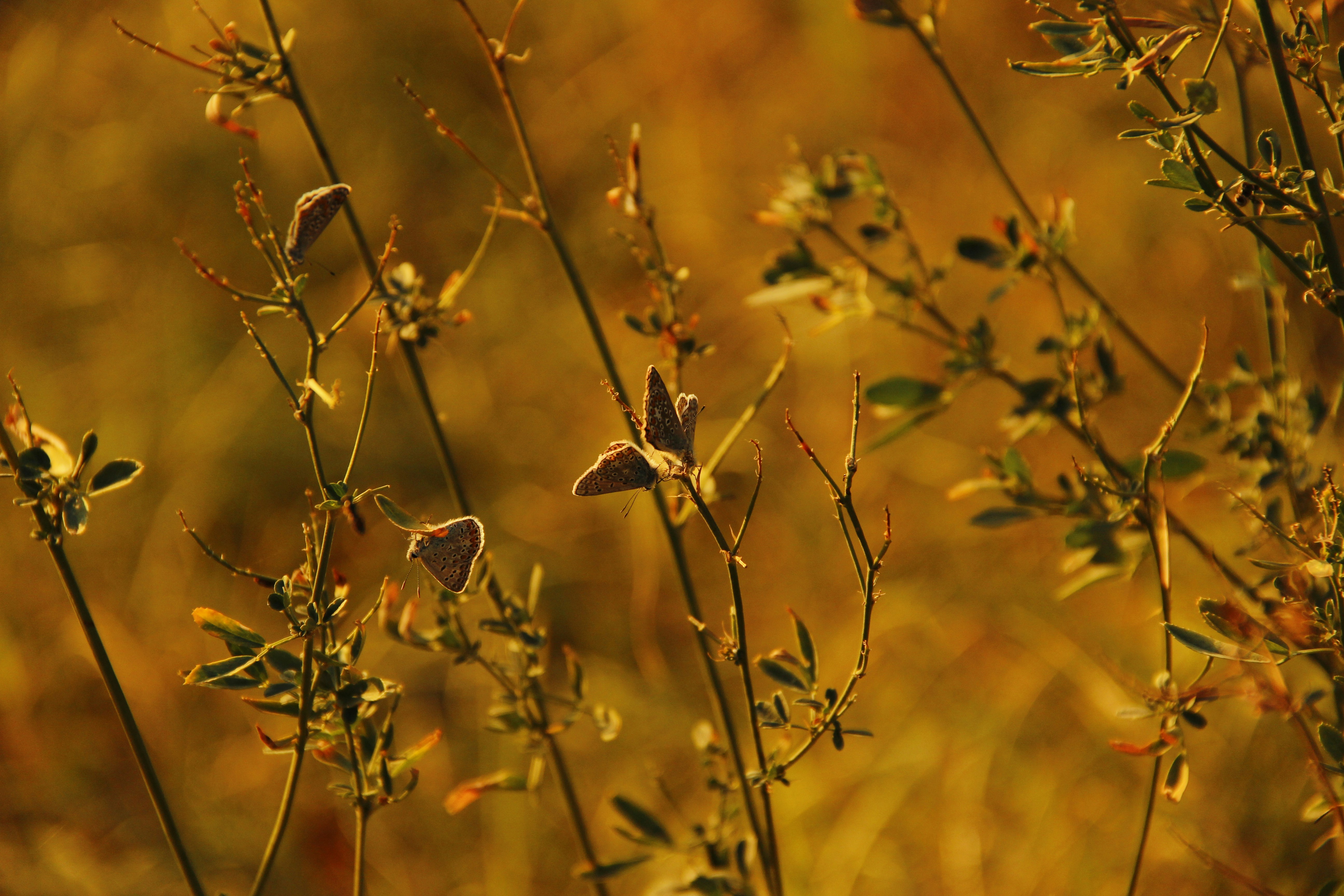 Photo by frensisalberti